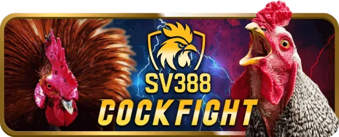 Công nghệ bảo mật và hỗ trợ khách hàng xibet nhà cái