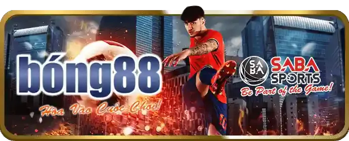 Thông tin liên hệ và hợp tác xibet nhà cái